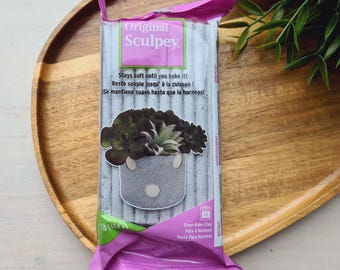 Può includere: Una confezione da 454 g di pasta modellabile da forno Original Sculpey. La confezione è bianca con accenti viola e riporta il testo Original Sculpey, Stays soft until you bake it! e 1 lb (454 g). Mostra un grafico di una pianta succulenta.