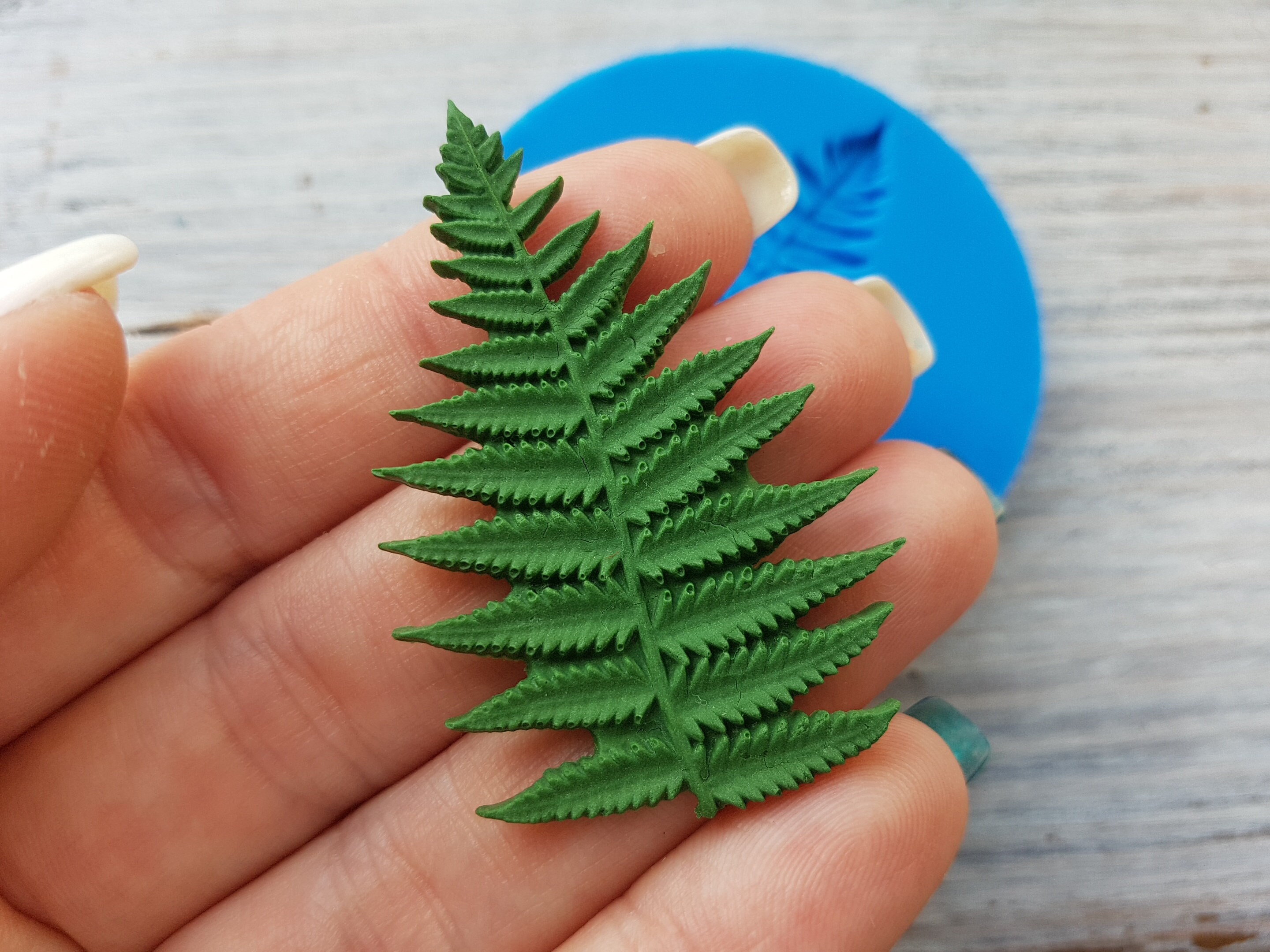 Silicone Mold of Fern Leaf 53.5 Cm Modeling Tool for Etsy
