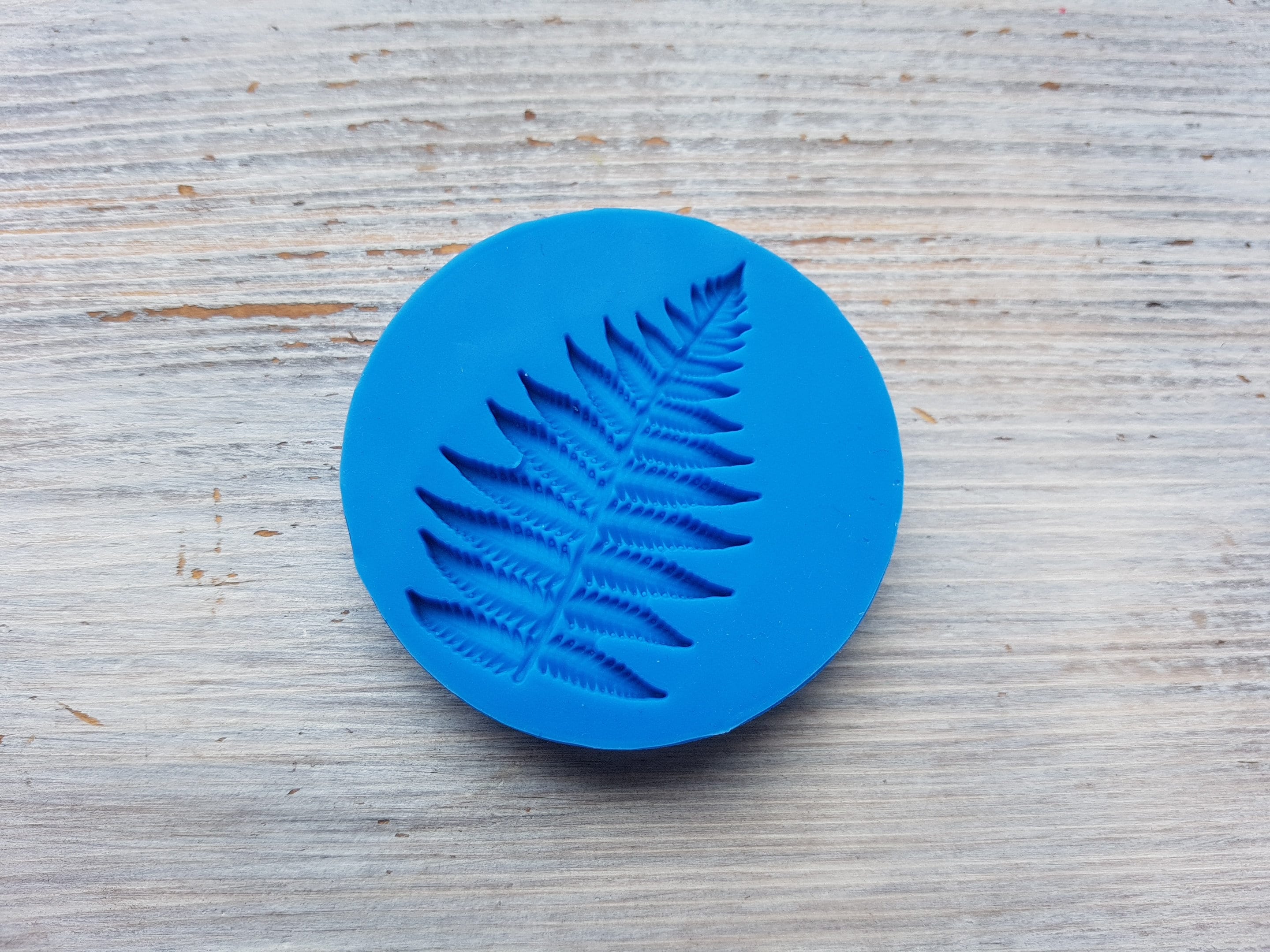 Silicone Mold of Fern Leaf 53.5 Cm Modeling Tool for Etsy