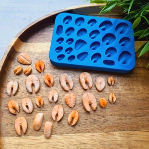 May include: A wooden tray displays a blue silicone mould and several salmon-shaped resin pieces. The resin pieces are various sizes and shades of orange and white. Green foliage is in the background.