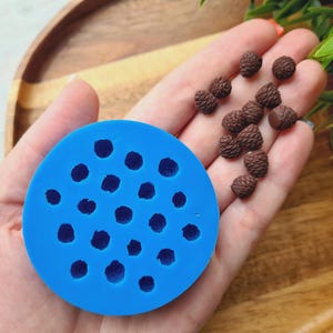 Pode incluir: Um molde de silicone azul com 20 cavidades redondas para fazer objetos pequenos e redondos. Uma m&atilde;o est&aacute; segurando o molde e um monte de objetos pequenos, redondos e marrons est&atilde;o espalhados na palma da m&atilde;o.