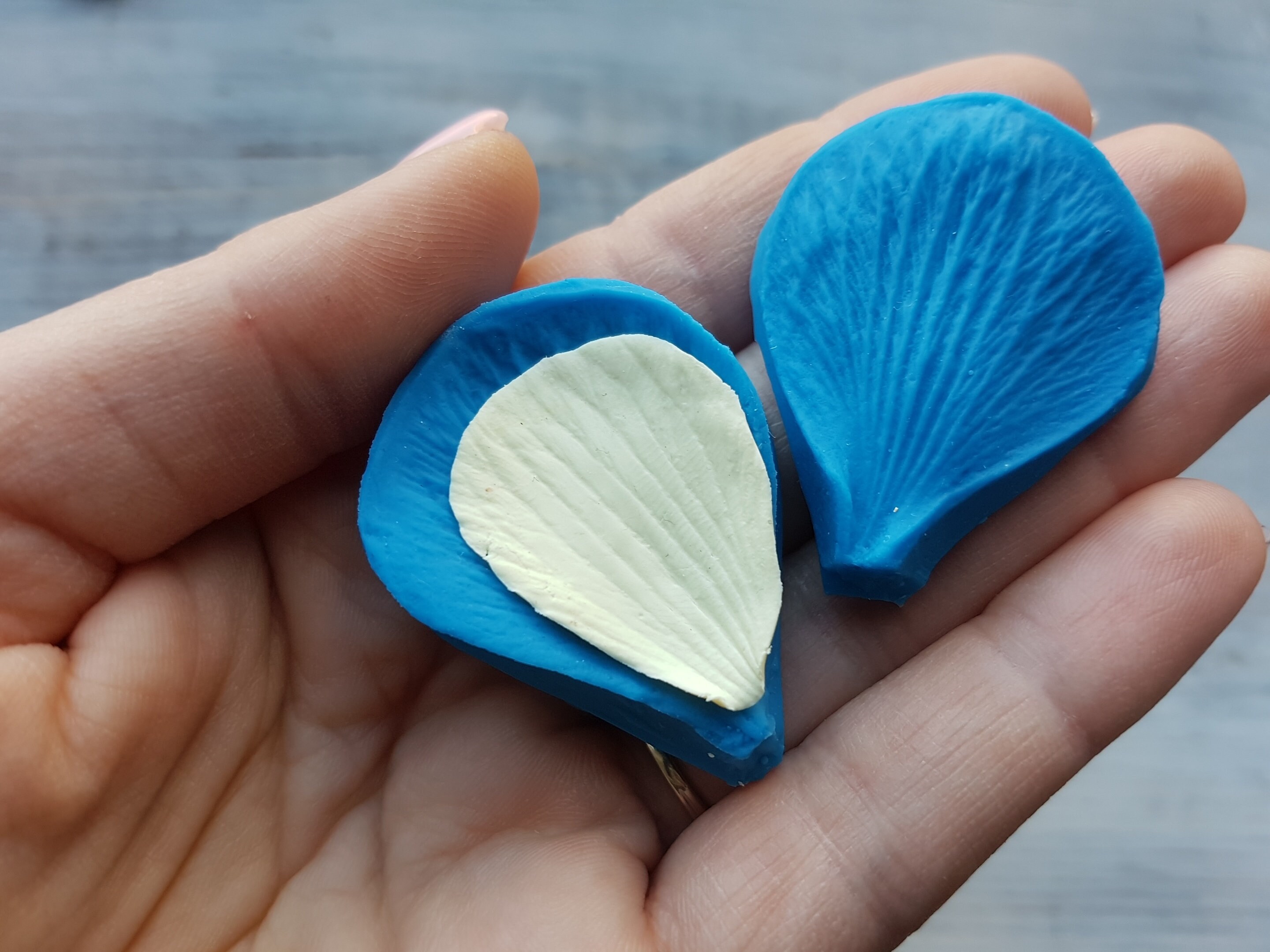 Silicone Veiner of Petal Texture 3 mold Size 3.24.2 Cm Etsy