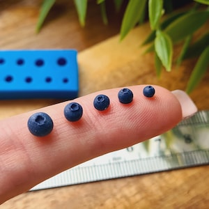 Può includere: Primo piano di diversi mirtilli in miniatura blu scuro disposti su un dito. Un oggetto rettangolare blu con più fori è sullo sfondo. È visibile anche un righello.
