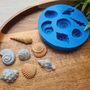 Silicone mold of Seashell, style 3, artificial, 7 elements, ~ 1.3-3.2 cm, H:0.7-0.9 cm, Clay, Resin,Soap,Chocolate,Fondant,Decor,Coastal DIY
