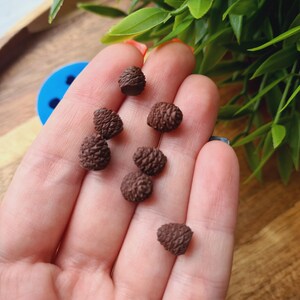 Pode incluir: Uma m&atilde;o segurando uma cole&ccedil;&atilde;o de pequenos ornamentos marrons em forma de pinha.