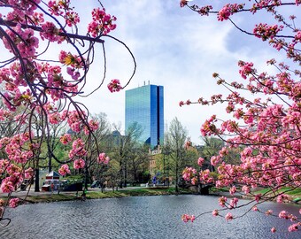 Boston Frühling Esplanade DIGITAL Druck