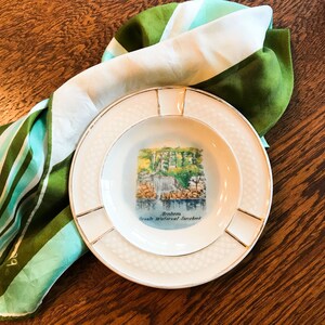 Vintage MCM Souvenir ashtray// Bavaria travel//1950&#39;s waterfall collectible