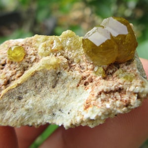 Andradite Garnet Crystals In Host. 53.25 Crt.  Natural Andradite Garnet Crystals.