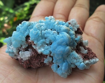 Cristalli di emimorfite sull&#39;ospite. 246,70 Crt (49,3 grammi)