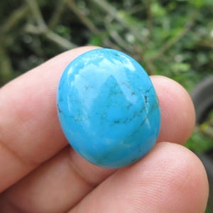Può includere: Una gemma di turchese lucidata, di forma ovale. La pietra è di un vibrante colore blu chiaro con venature blu e marroni più scure. La gemma è tenuta nella mano di una persona, con uno sfondo verde sfocato.