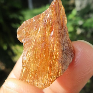 May include: A raw, translucent golden rutilated quartz crystal featuring a jagged, irregular shape. The stone displays a vibrant amber hue with numerous fine, needle-like golden inclusions running throughout its crystalline structure.