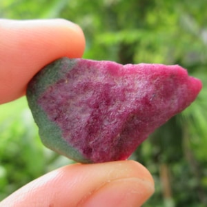 May include: A raw ruby gemstone, displaying a rich magenta colour with a green border. The unpolished mineral is held between fingers, highlighting its natural texture. The background is a soft, blurred green, suggesting an outdoor setting.
