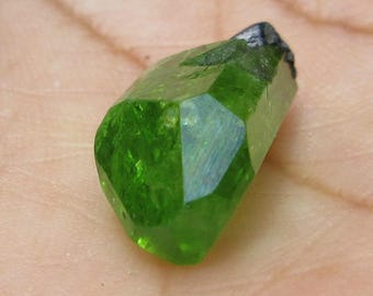 Chrome Diopside Crystal: 8.40 Crt Terminated Green Mineral Specimen