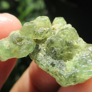May include: A cluster of raw, light green peridot crystals. The crystals have a translucent quality, with visible internal structures and a slightly rough texture. The peridot is held in a hand, with a blurred green background.