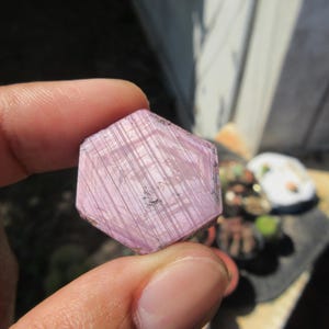 Rubin Chatoyantkristall. Naturliga kristalltillväxtmarkörer. Rosa röd från Guinea. 55.50 Crt