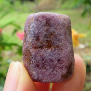 Puede incluir: Una gema de rubí natural y en bruto, con un tono rojo púrpura intenso. La piedra tiene una superficie texturizada con inclusiones marrones y rojo oscuro. El rubí se sostiene en una mano, con un fondo verde borroso.