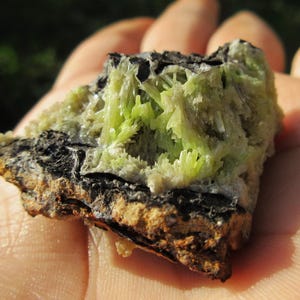 May include: A close-up of a green and gray mineral specimen with a rough, textured surface. The mineral is a cluster of small, needle-like crystals.