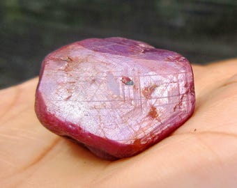 May include: A rough, uncut ruby gemstone with a deep red hue and a slightly translucent appearance. The surface of the stone has visible lines and imperfections, giving it a natural, unpolished look. The ruby is held in a hand, showcasing its size and color.