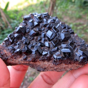 Melanite Andradite Garnet Crystals In Epidote Specimen. 2.9 Inches Long  634.50 Ct.