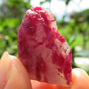 Puede incluir: Una gema de rubí natural en bruto. El rubí muestra un color rojo vibrante con vetas de rosa más claro y áreas transparentes. La piedra se sostiene entre los dedos, con un fondo verde borroso.
