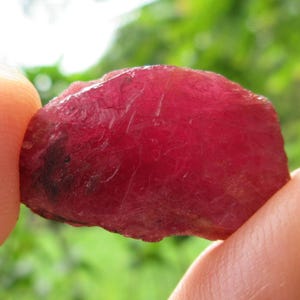 May include: A raw, uncut ruby gemstone held between fingers. The ruby is a deep, vibrant red with a slightly uneven surface and a dark spot. The background is a blurred green, suggesting a natural outdoor setting.