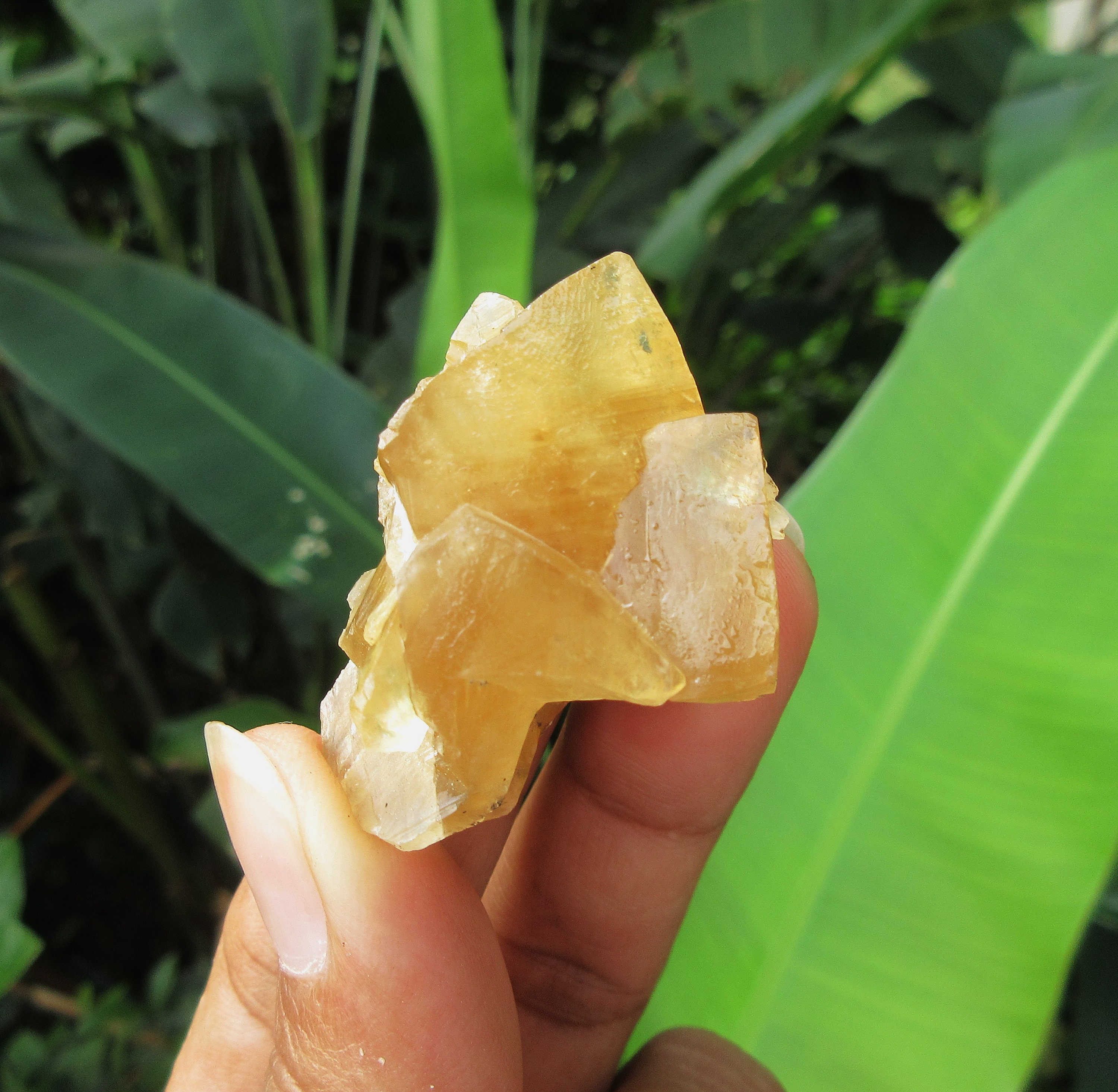 Beautiful Crystal Golden Honey Calcite Cluster. Healing Etsy