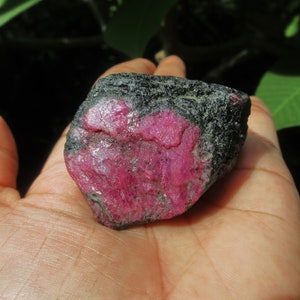 Pode incluir: Uma gema de rubi bruta, não cortada, com um tom rosa-vermelho vibrante, parcialmente envolta em uma matriz escura e texturizada. A superfície da pedra tem uma aparência cristalina, refletindo a luz. Espécime mineral natural.