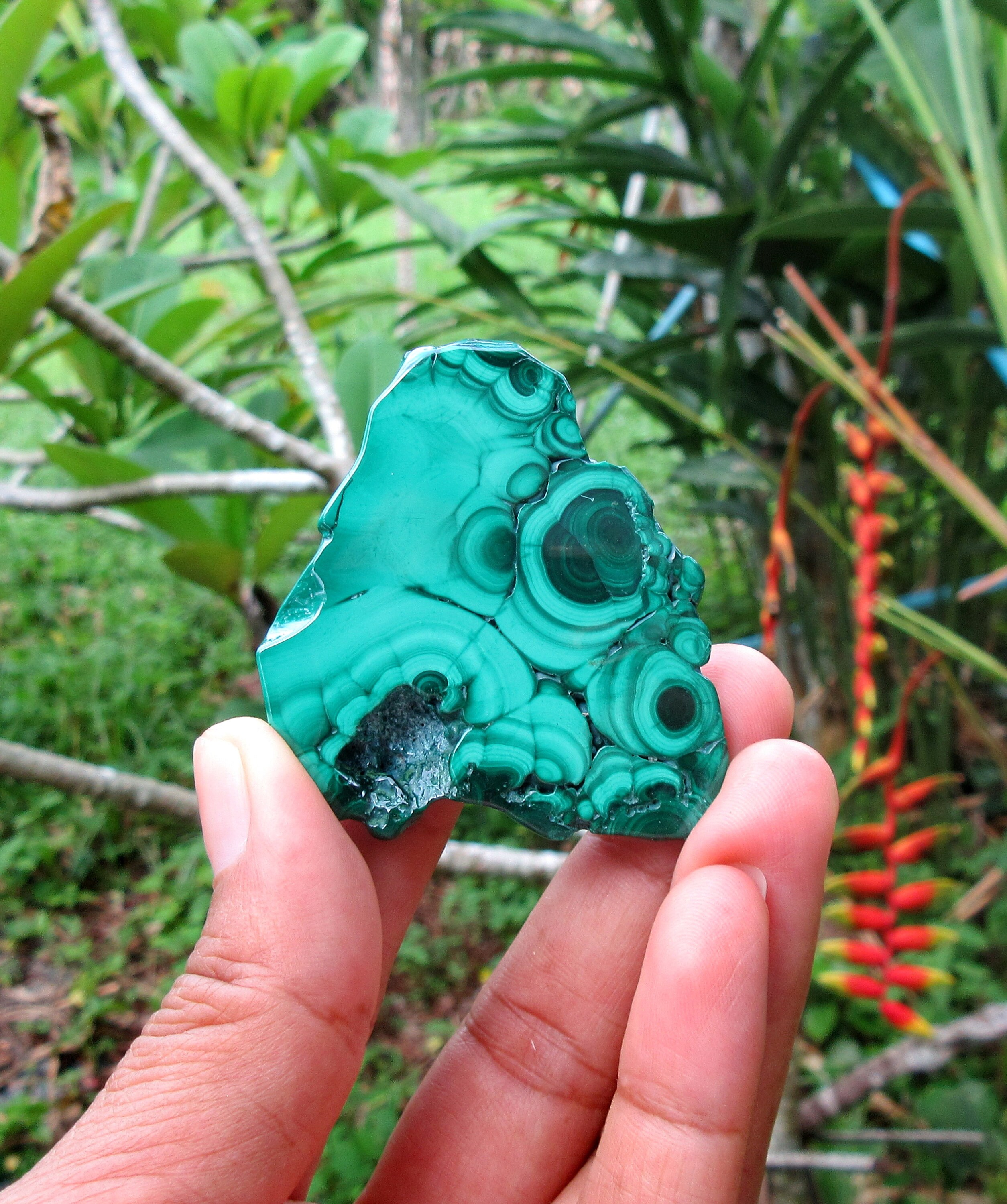 Einzigartig gemusterter polierter Malachit.Schön... 260 Crt. | Etsy