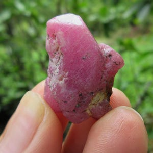 May include: A rough, uncut ruby gemstone with a vibrant pink hue. The natural stone has a textured surface with areas of lighter color and small dark inclusions. The ruby is held in a hand against a blurred green background.