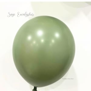 May include: A sage green latex balloon. The balloon is inflated and has a shiny finish.