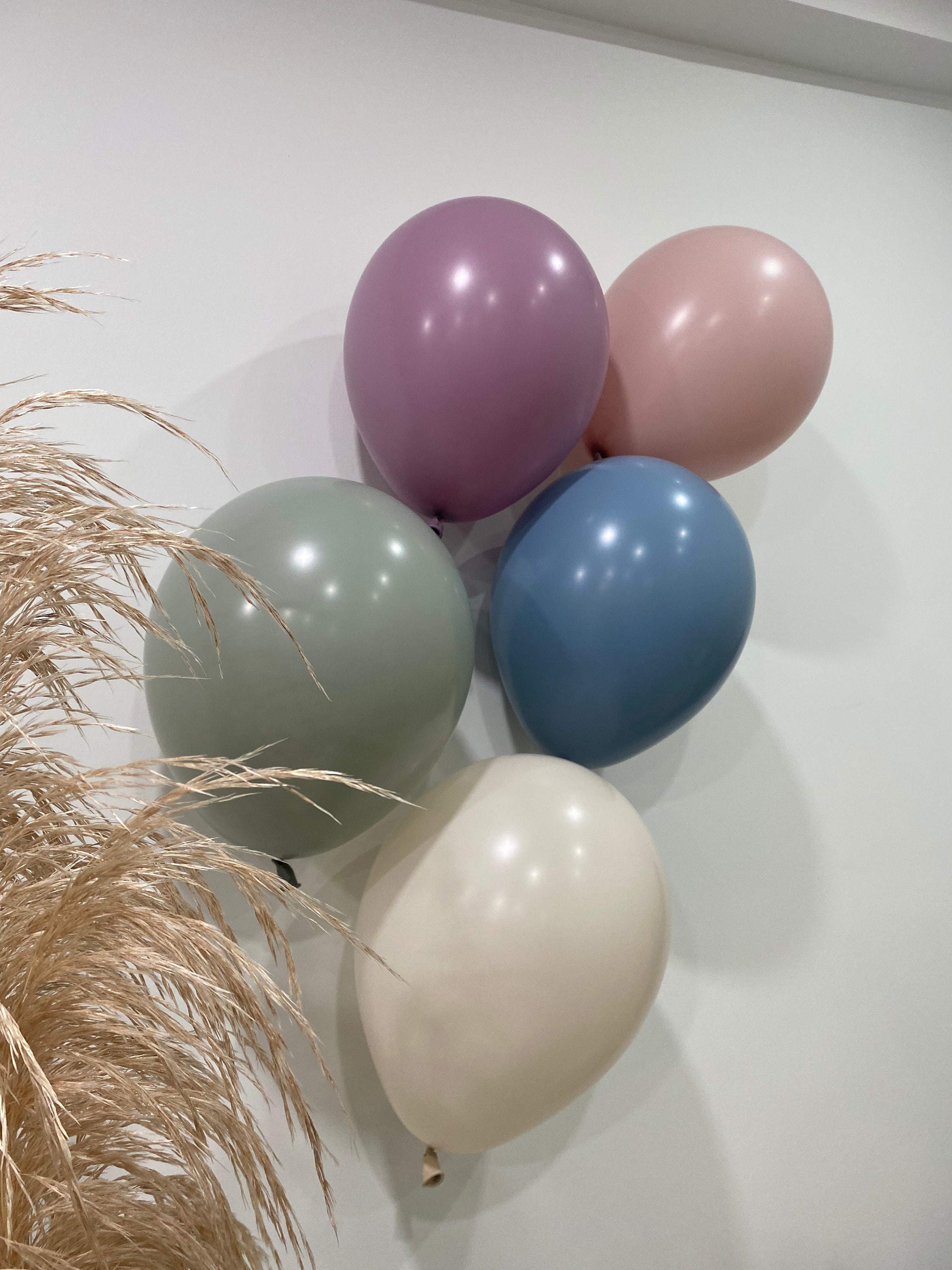 Pastel Dusk Balloons, Sempertex Biodegradable Party Decor - Etsy