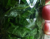 Lemon balm elixer