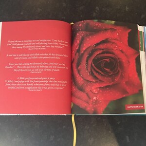 May include: An open book with red pages and a vibrant red rose on the right side. The rose has water droplets on its petals. Text is visible on the left page, and the words "HAPPILY EVER AFTER" are printed on the bottom right.