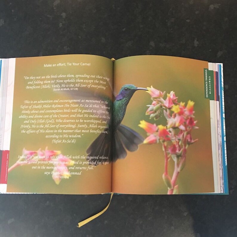 May include: An open book with a hummingbird and flower image. The hummingbird has iridescent green and purple feathers, and is positioned near a cluster of pink and yellow flowers. Text on the page includes a quote and the phrase "Make an effort; Tie Your Camel."