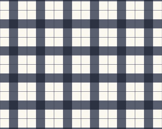 Gingham Foundry Gingham Navy by My Mind's Eye for Riley Blake Designs