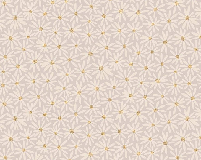 Fairy Dust Daisies Gray by Ashley Collett for Riley Blake Designs