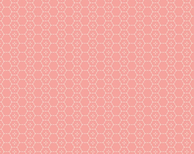 Bound Treasures Blush from Picturesque by Katarina Roccella by Art Gallery Fabrics