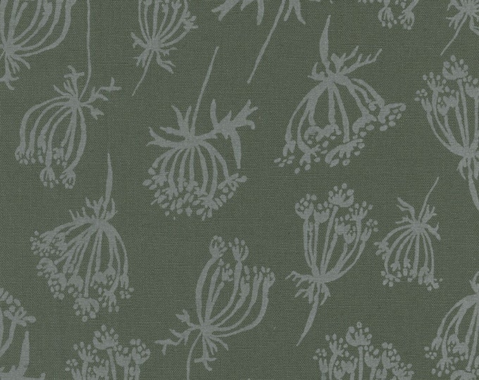 PEPPER  (Queen Anne's Lace) by Anna Graham from Riverbend for Robert Kaufman Fabrics