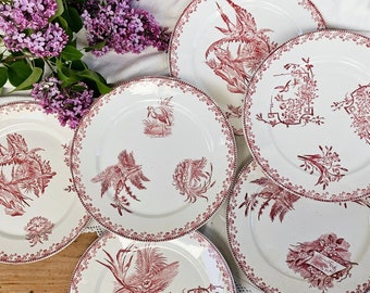 Pexonne | Assiettes plates "Oiseaux" rose, terre de fer