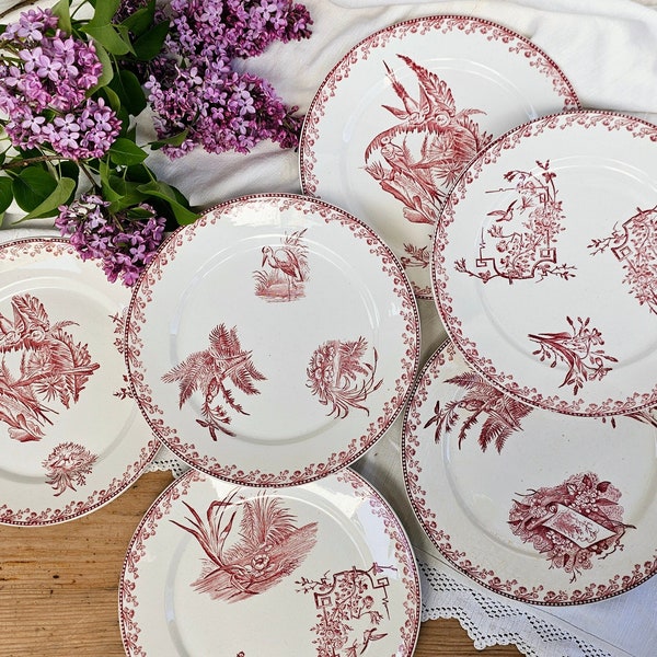 Pexonne | Assiettes plates "Oiseaux" rose, terre de fer