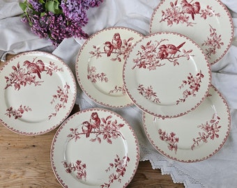 Sarreguemines | Assiettes plates "Favori" rose, oiseaux, terre de fer