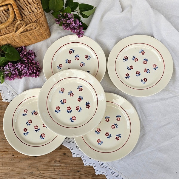 Badonviller | Dessert plates x5, red and blue flowers, vintage, half porcelain