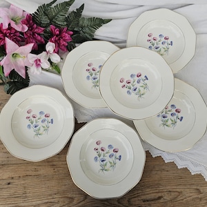 Digoin & Sarreguemines | Antique soup plates x6 &quot;Christine&quot;, vintage ironstone