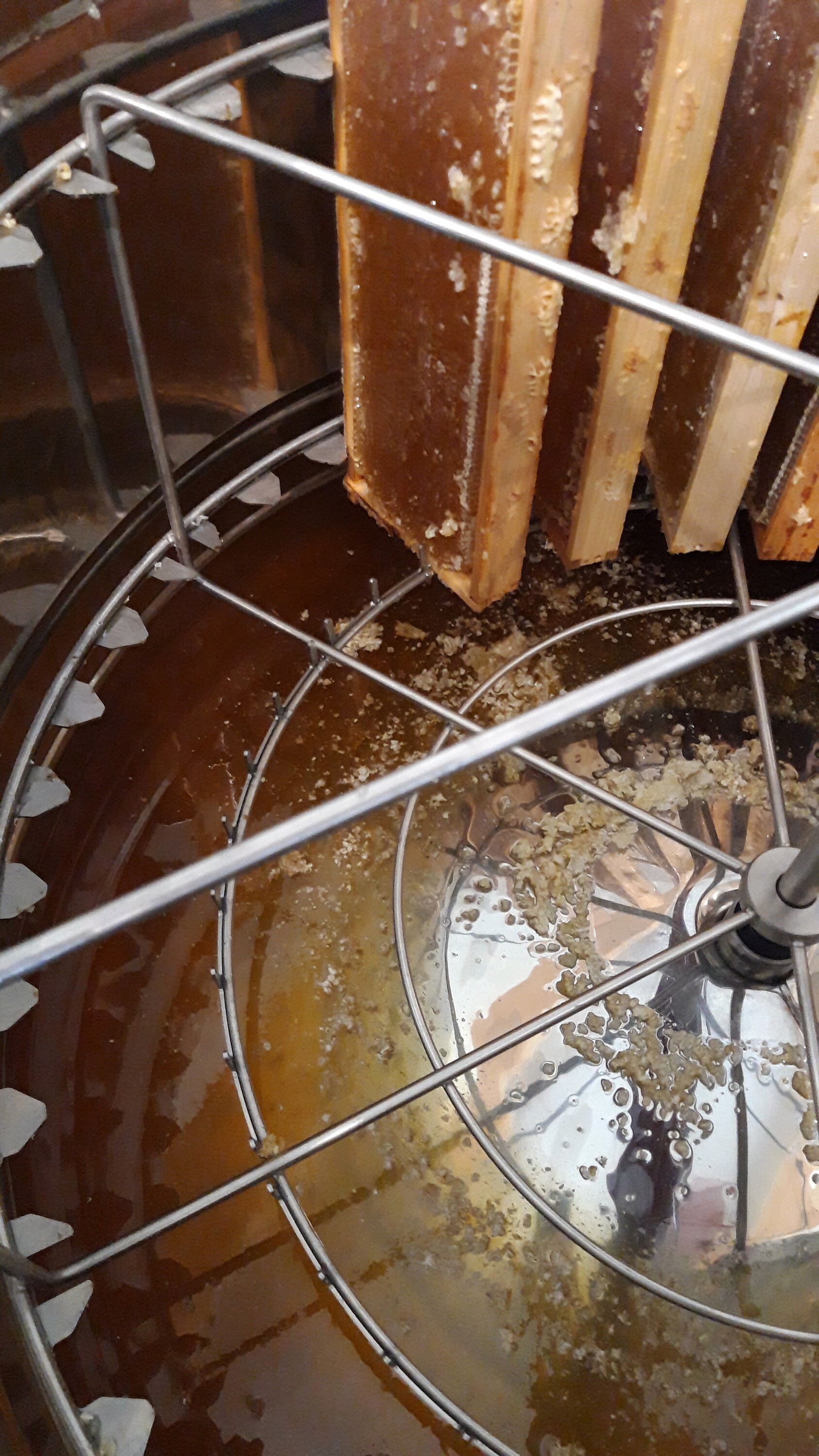 1.5 Kg Summer Blossom Honey Raw Hardened Honey Unprocessed Etsy