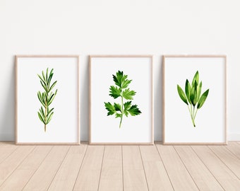 Set of 3 hand painted herb botanical  paintings GIFT home decor cottage style