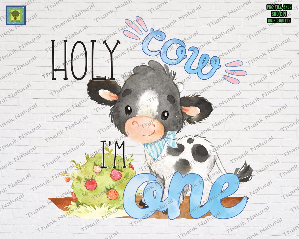Holy Cow I'm One PNG, Sublimation Design Download, Cow 1st Birthday Png ...
