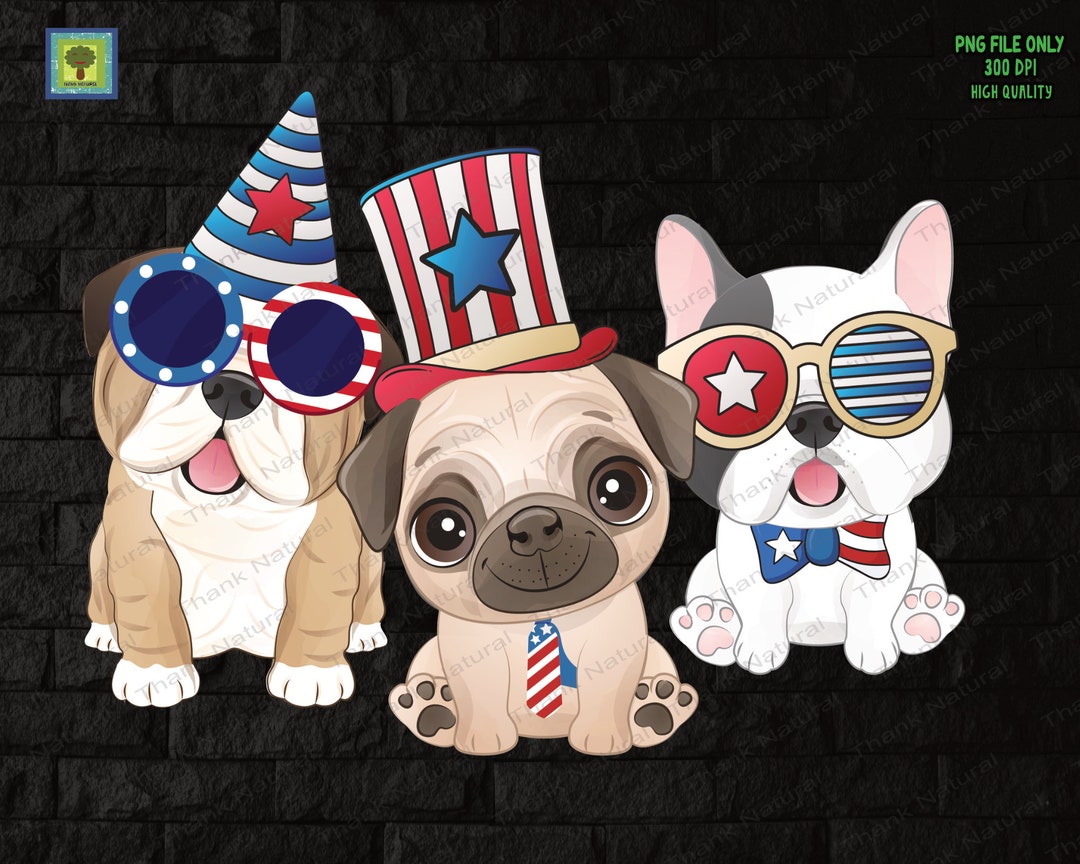 how to calm down dogs on fourth of july