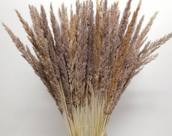 40cm 50 Stück Wildgras dekorative natürliche Trockensträuße