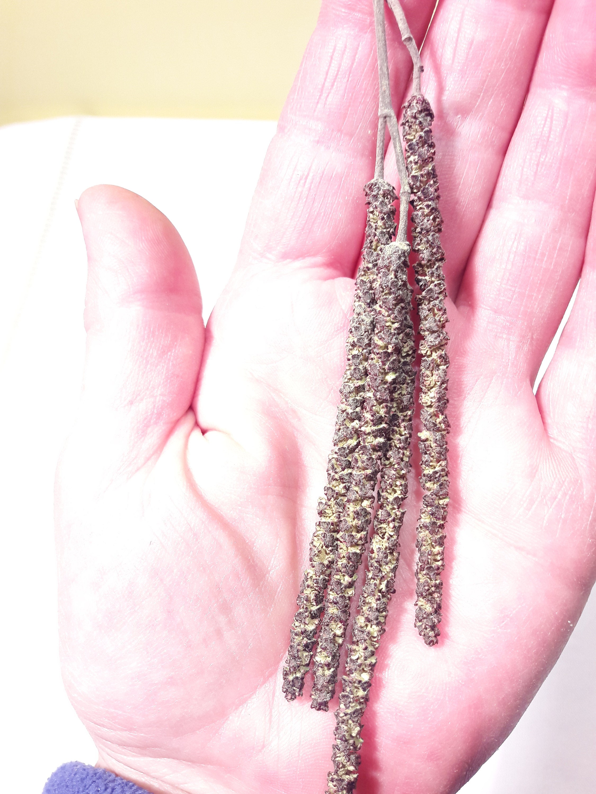 Alder - Etsy España