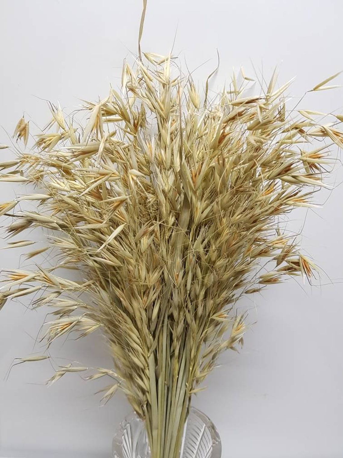 3x30 wheat 40cm decorative natural dried grasses Etsy